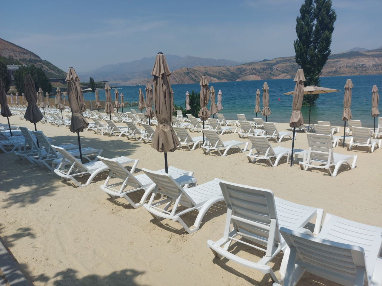 Porno yulduzlar kimga turmushga chiqadi?