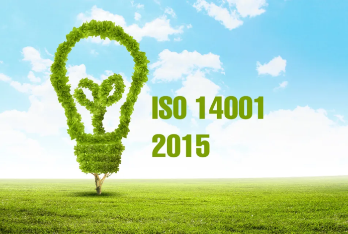 ISO 14001 sertifikatining afzalliklari